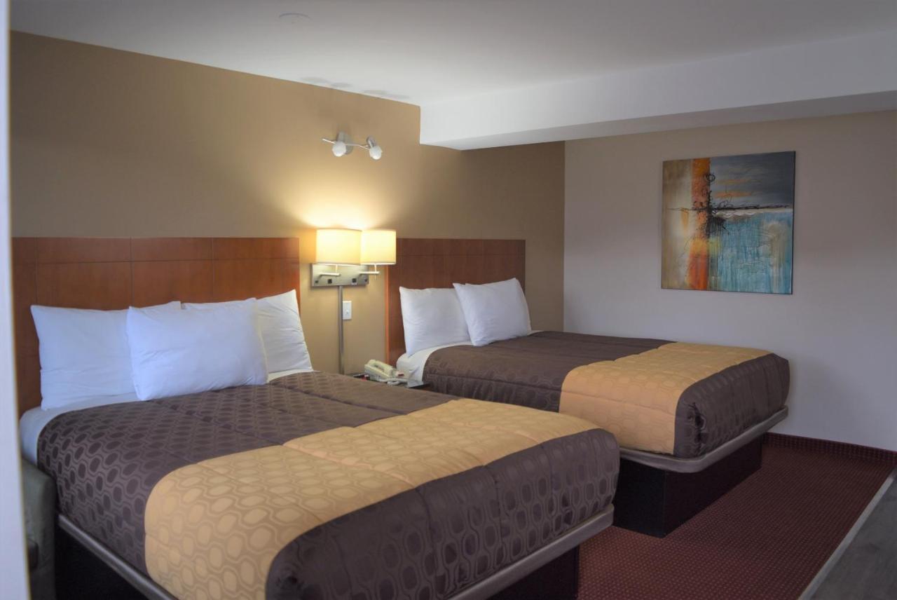 Motel Knights